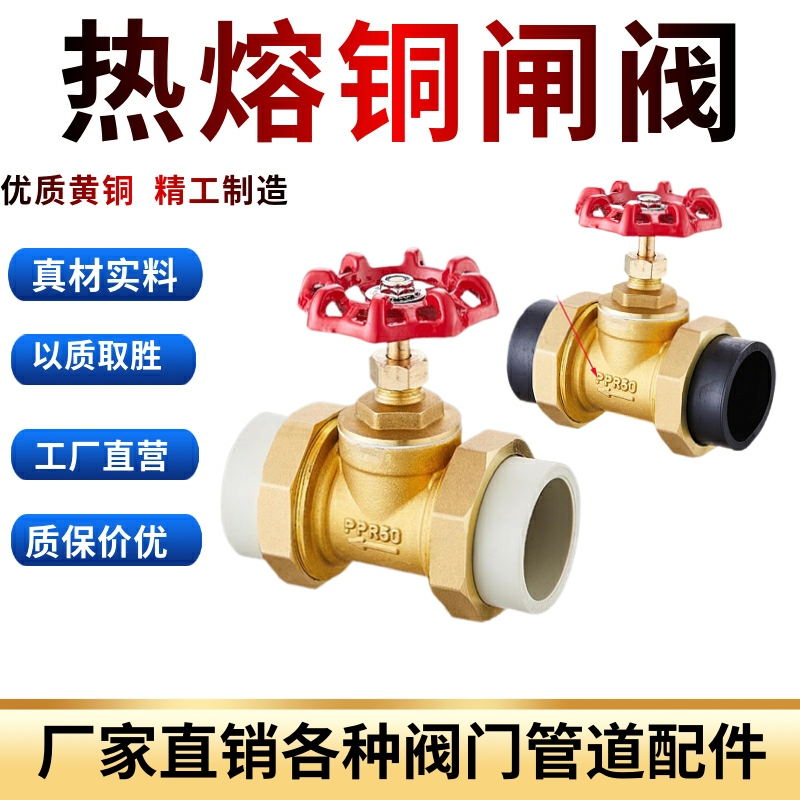 PE铜闸阀 PPR铜l闸阀全铜阀门自来水阀开关20 25 32 热熔闸阀