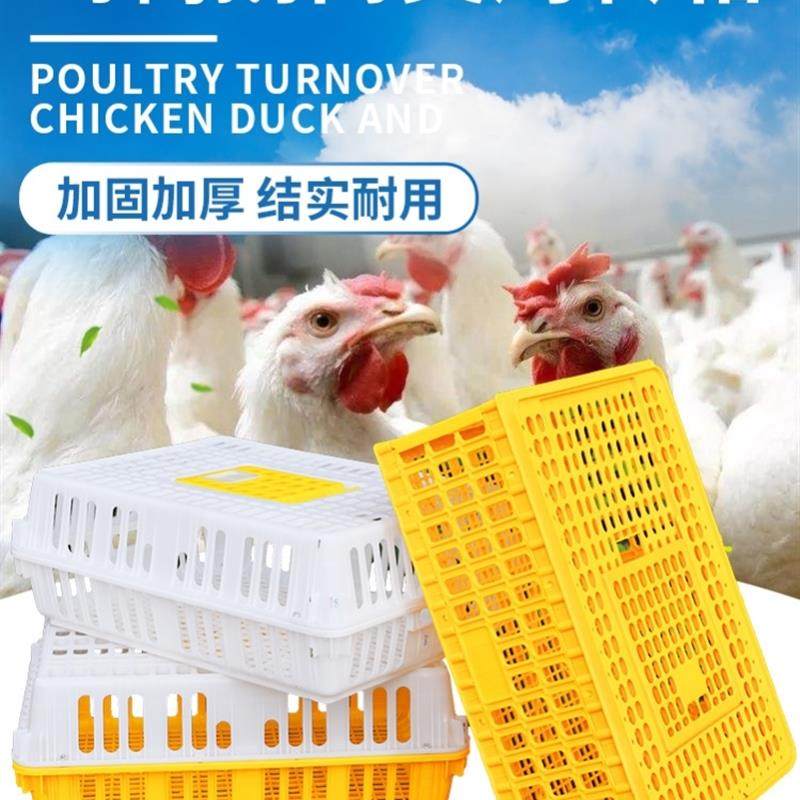 成鸡活鸡笼子肉兔笼鸡用鸽笼子z筐子鸡鸭鹅运输鸡笼周转箱货运塑
