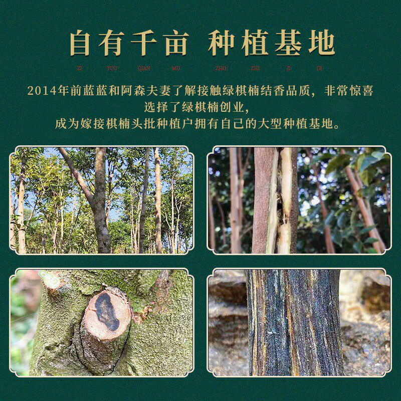 奇楠沉香方珠手串四方来财棋楠沉香手串M随形手串佛珠念珠文玩