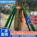 绿色钢管树木支撑架固定器镀锌烤漆D防风支架园林绿化苗木树支架
