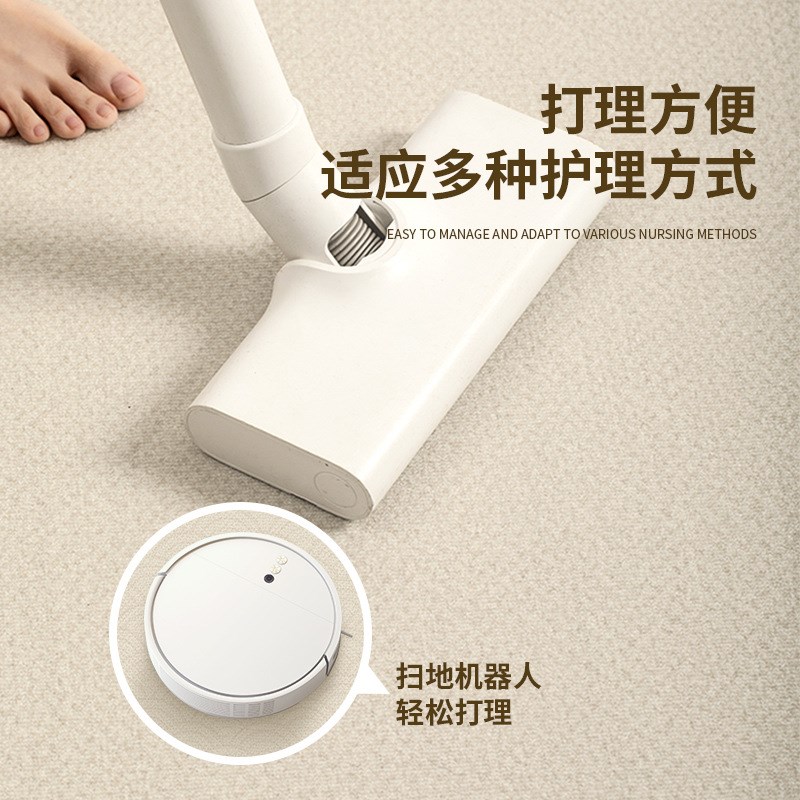 地毯客厅2024新款新中式轻奢高级感沙发茶几卧室花园家用全铺地垫