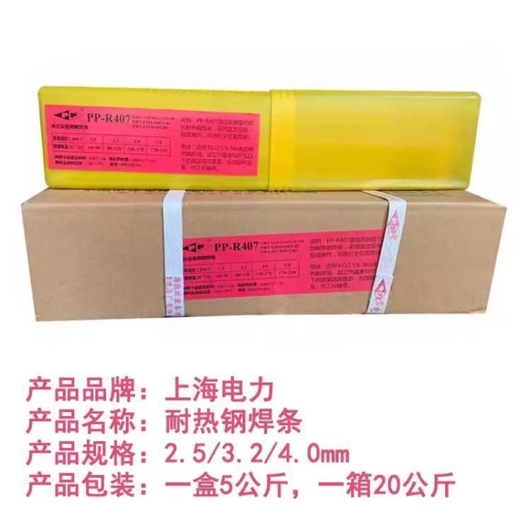 电力E9018-B3珠光体焊条PP-R406Fe耐热钢电焊条