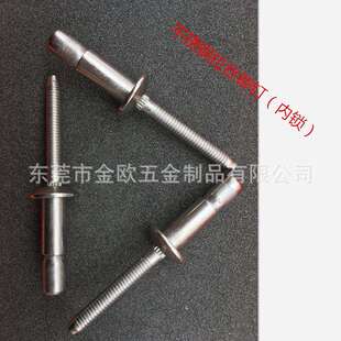 全铝全铁抽芯铆钉内锁口杯不锈钢拉铆钉 工厂现货不锈钢拉丝铆钉