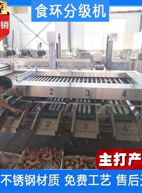 圣厂-供家应猕猴桃选机 女果分选机 OUS滚杠式水果分果级机厂家