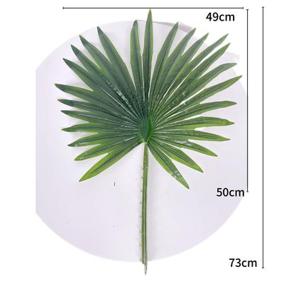 仿树真植物扇葵叶棕叶胶塑布料榈单片CY800155保鲜棕树叶仿真大小