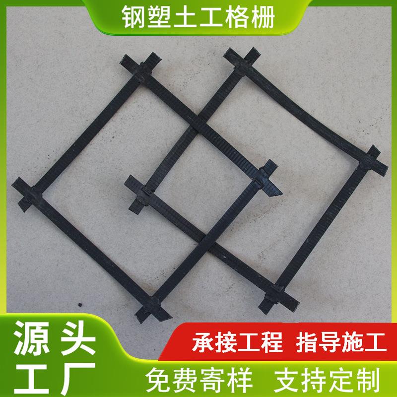 山东复钢合钢塑土工工格基栅厂家 MYB现货路挡土墙加筋GSZ塑土格