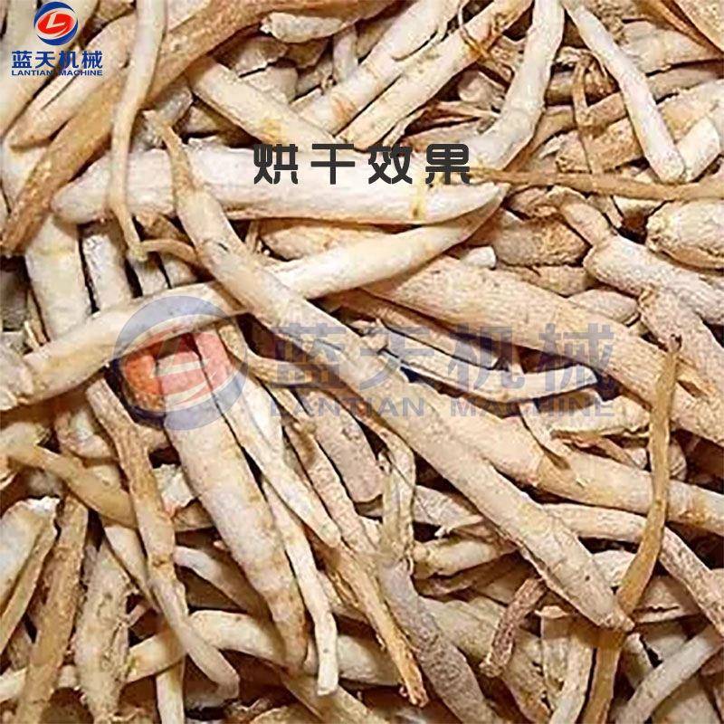 川明参烘干机 大型土地明参备沙煮参LT-CMS汤烘干设 四川药材种植