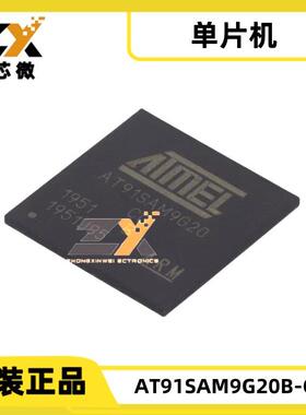 AT91SAM9G20B-CU 217-LFBGA SAM9G 1核32 位400MHz 10/100Mbps