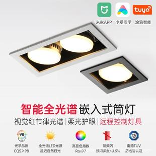 led筒灯天花灯嵌入式 双头斗胆客厅无主灯护眼过道智能gx53