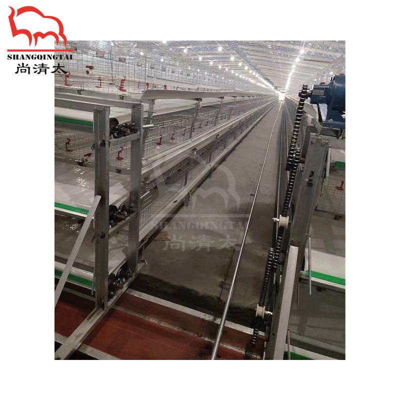 鸡笼清粪带A型鸡笼H型鸡笼清粪设备自动清粪设施养鸡场同款