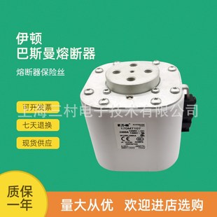 170M7119全新T快速熔断器保险丝现货 170M7118 170M7107 170M7115