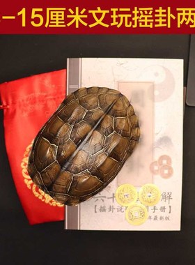 天然完整干净真乌龟壳文玩t盘玩手把件龟甲家具客厅摆件送卦册铜