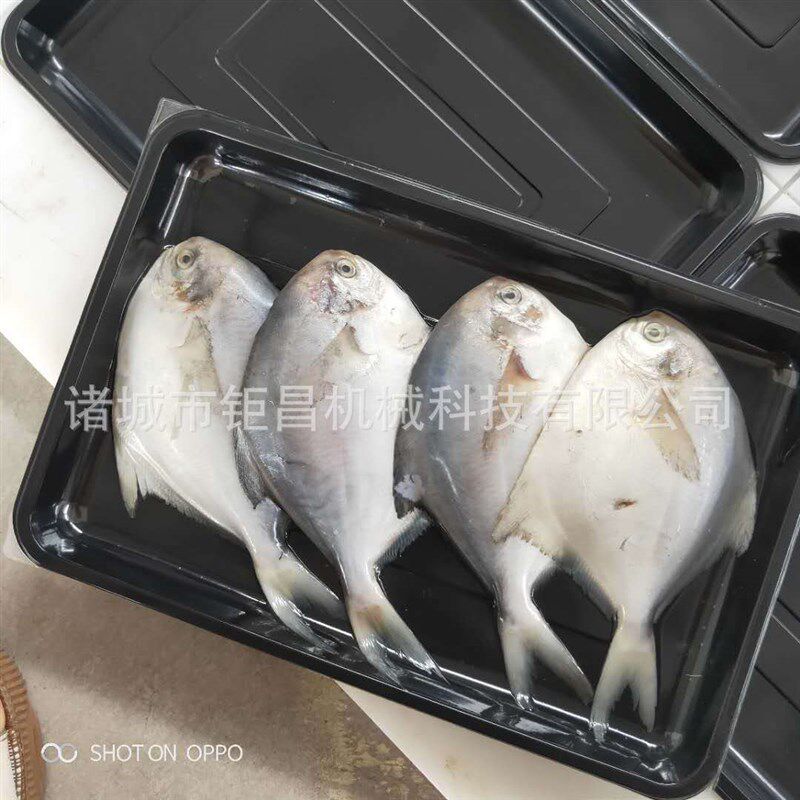 海鲜鳗鱼真空贴体包装机 牛排真空贴体包装封口机 覆膜机厂家