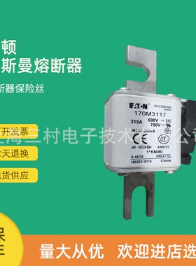 全新原装快速熔断器保险丝170M2620 170M2621 170M2657 170M2658
