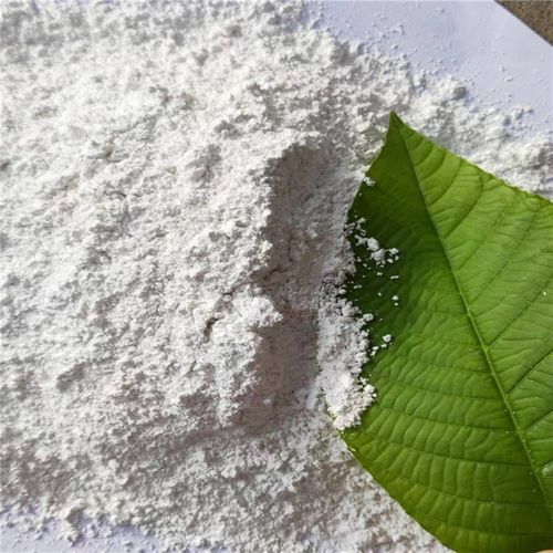 陶瓷填料涂料用叶腊石粉电焊条防火布白叶蜡石粉铸造橡胶