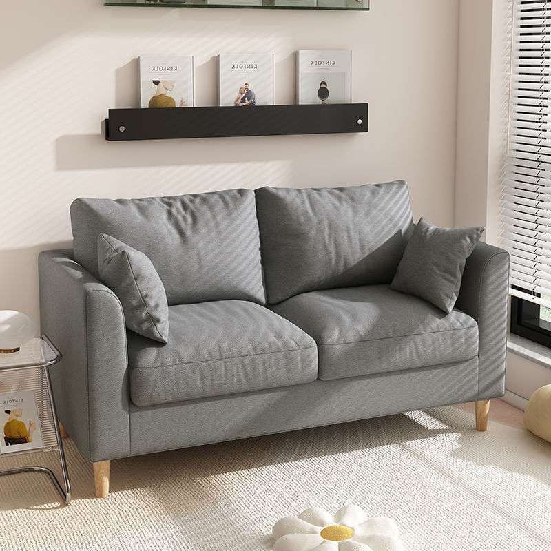 沙发北欧简约现代客厅卧室简易出租房网红布艺三人双人沙发小户型