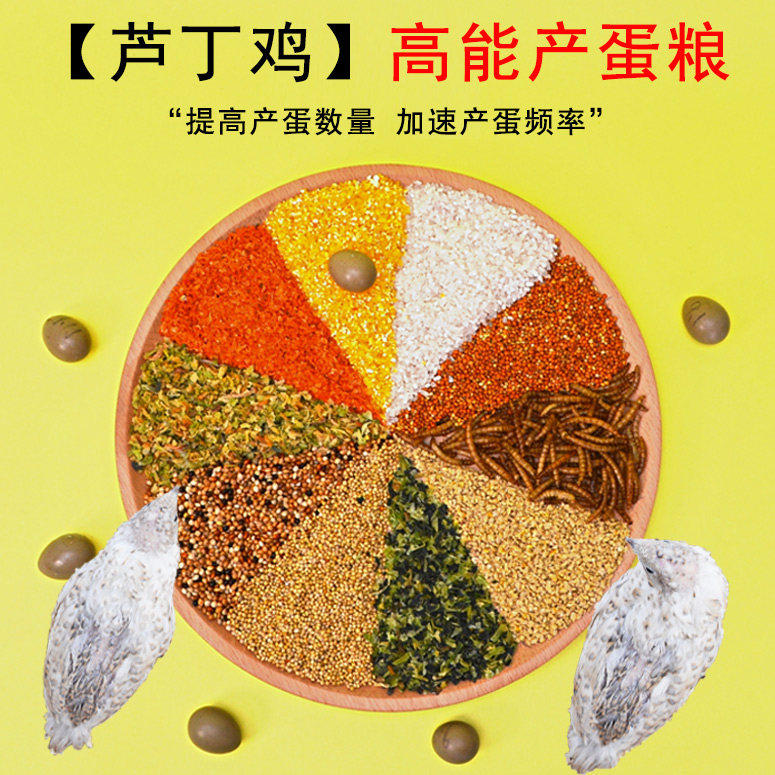 芦丁鸡营养产蛋粮饲料专用育雏开口粮食卢丁鹌鹑食料小鸡食物下蛋