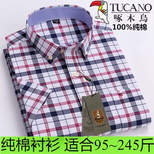 正品啄木鸟纯棉大码短袖衬衫男装休闲全棉半袖格子休闲宽松格子