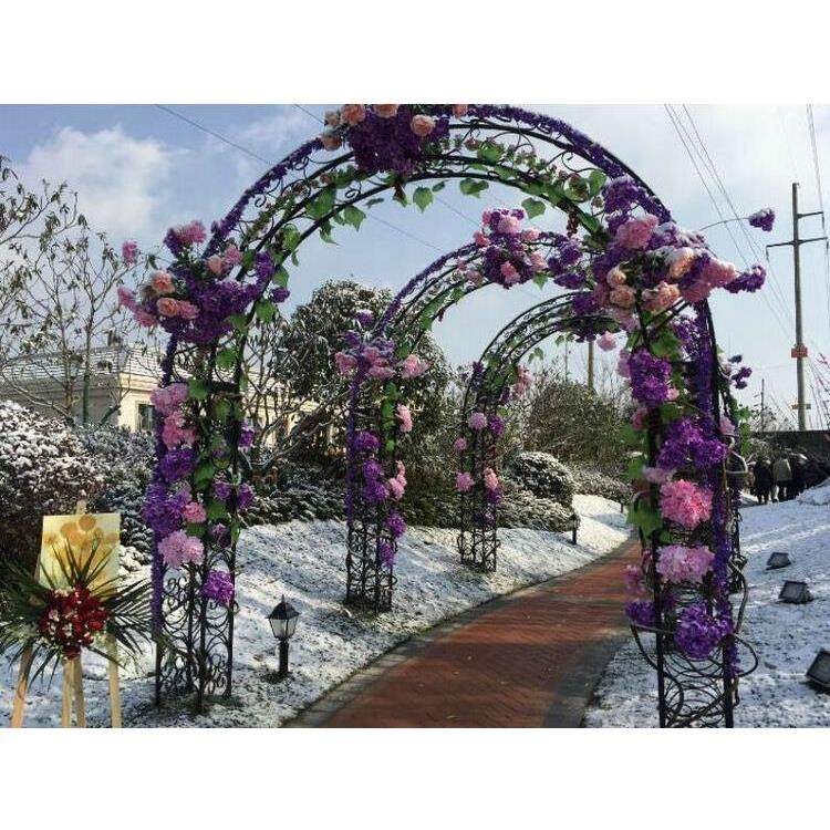 欧式拱门花架铁艺拱形爬藤架月季攀爬支架庭院鲜花绿植攀爬架户外
