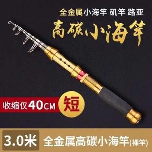 小海竿迷你d超短便携钓抛竿冰钓超硬小L矶竿路亚竿海杆筏竿套