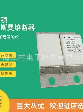 全新原装现货快速熔断器保险丝断路器170M1853 170M1860 170M1861