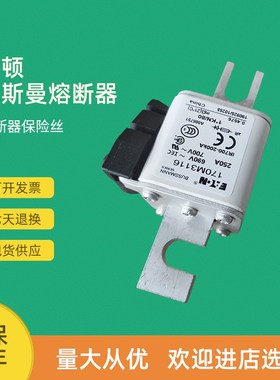 全新快速熔断器保险170M3188 170MB3189 170M3190 170M3191