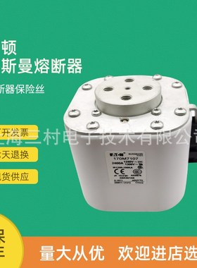 170M7107 170M7115 170M7118 170M7119全新快速熔断器保险丝现货