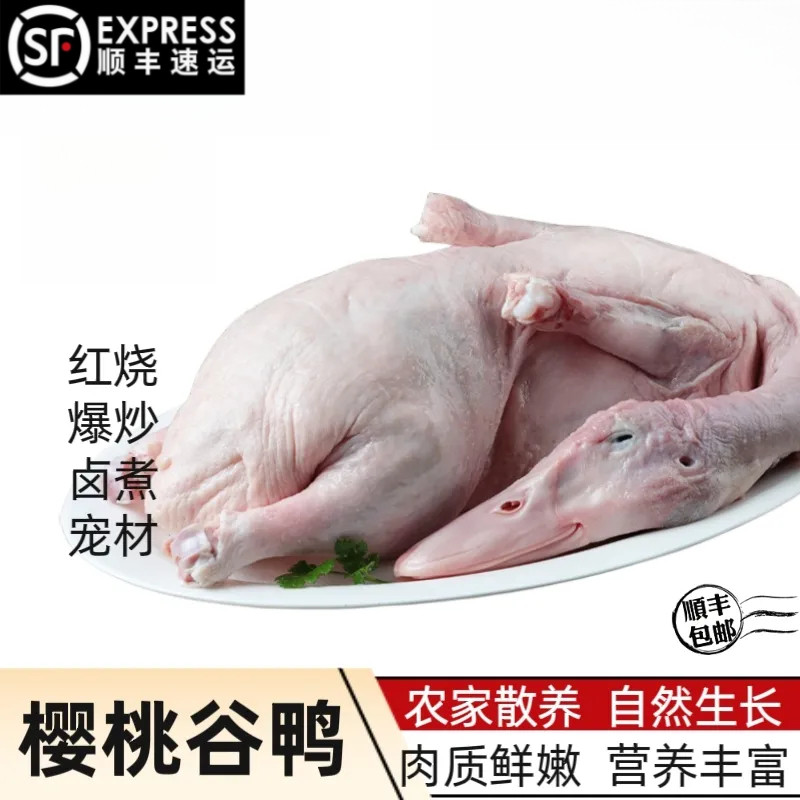 顺丰樱桃谷白条整鸭无内脏1kg