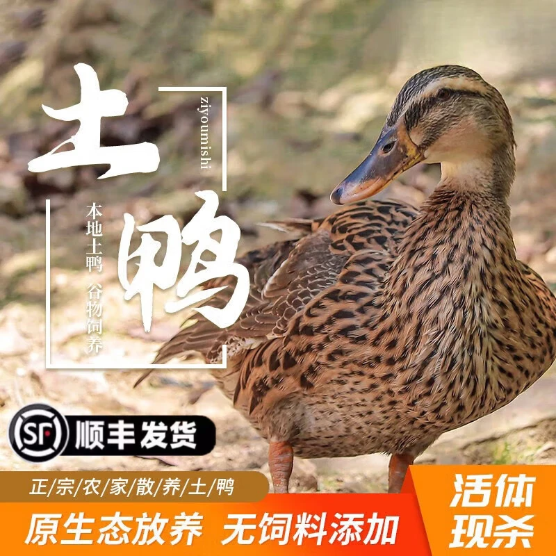 鸭子生鲜农家散养现杀冷冻整鸭