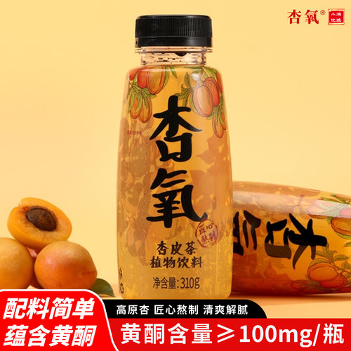 杏氧植物饮料甘肃特产310g杏皮茶