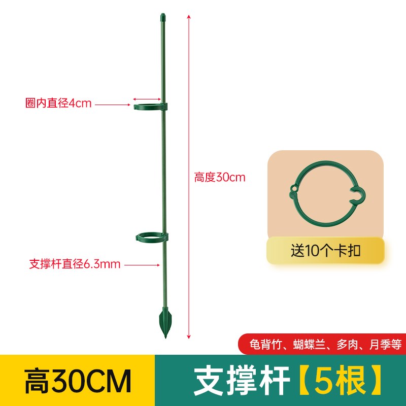 植物支撑杆花架阳k台2024新款龟背竹支架固定神器月季爬藤防热卖