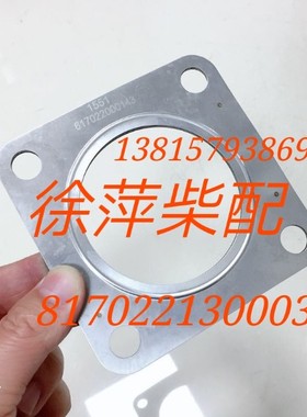 817022140001潍坊8170脉冲转换器潍坊8170排气管接头8170Z.22.02A