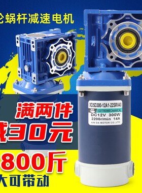 信达RV40直流减速涡轮电机12/24V300W可调速直流电机马达