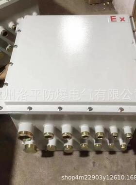防爆接线箱 不锈钢防爆接线箱 防爆分线箱 BJX系列防爆接线箱