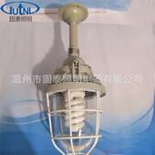 白炽灯 100W防爆灯 BAD51隔爆型防爆灯 节能灯光源可配
