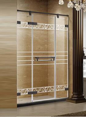 304不锈钢雅黑色一字淋浴门 卫生间平开玻璃门隔断可非标 GD9056D