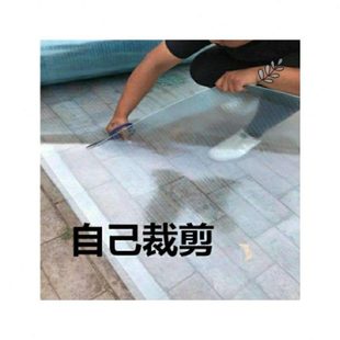 遮阳台防风防雨防晒无声雨棚遮 窗户塑料雨家用免打孔挡板透明pvc