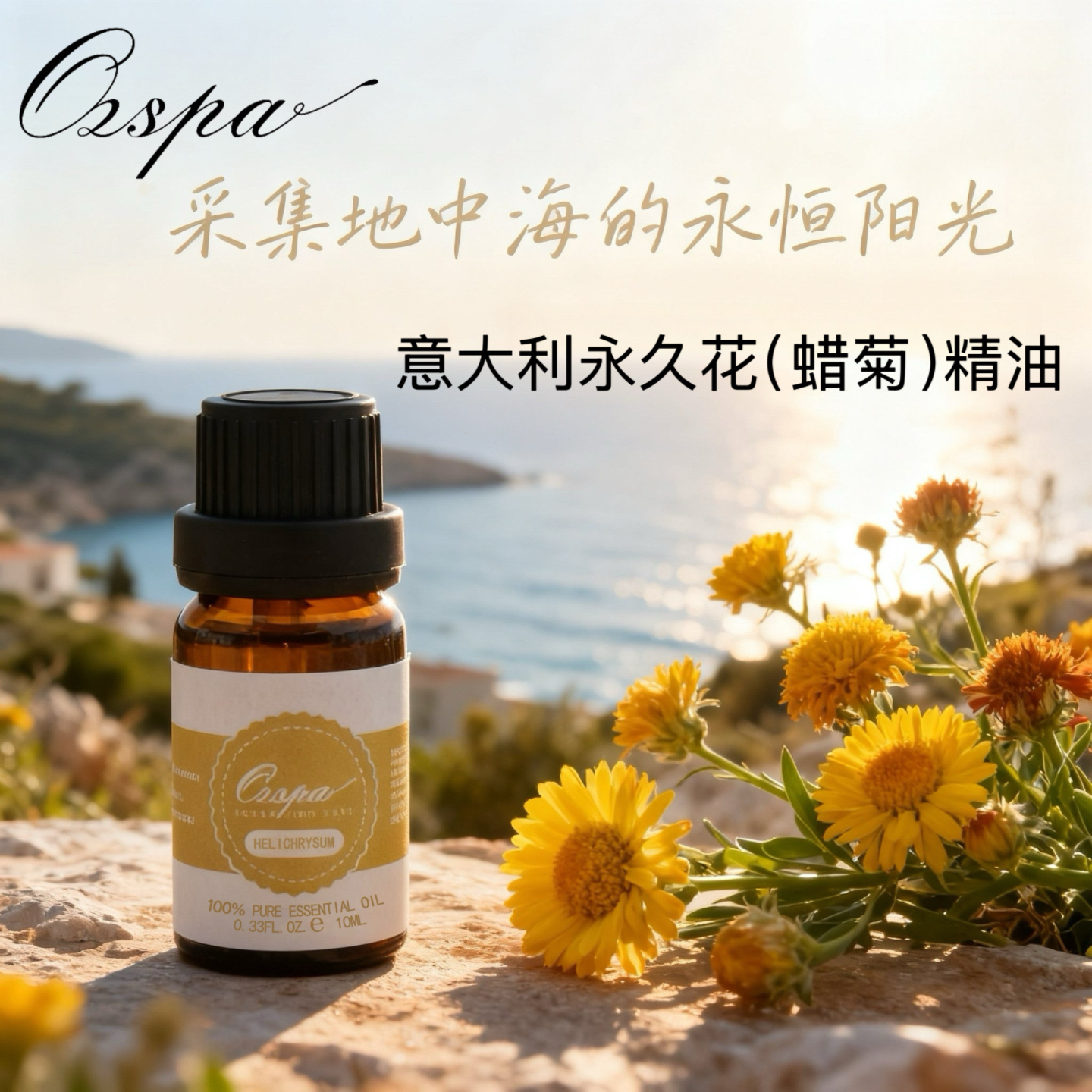 Ozspa意大利永久花蜡菊精油