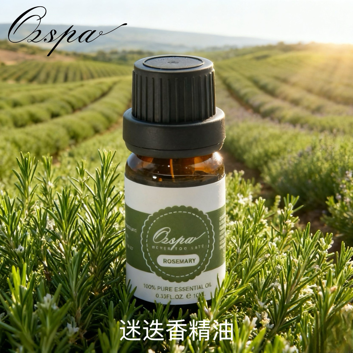 Ozspa法国迷迭香纯植物进口精油