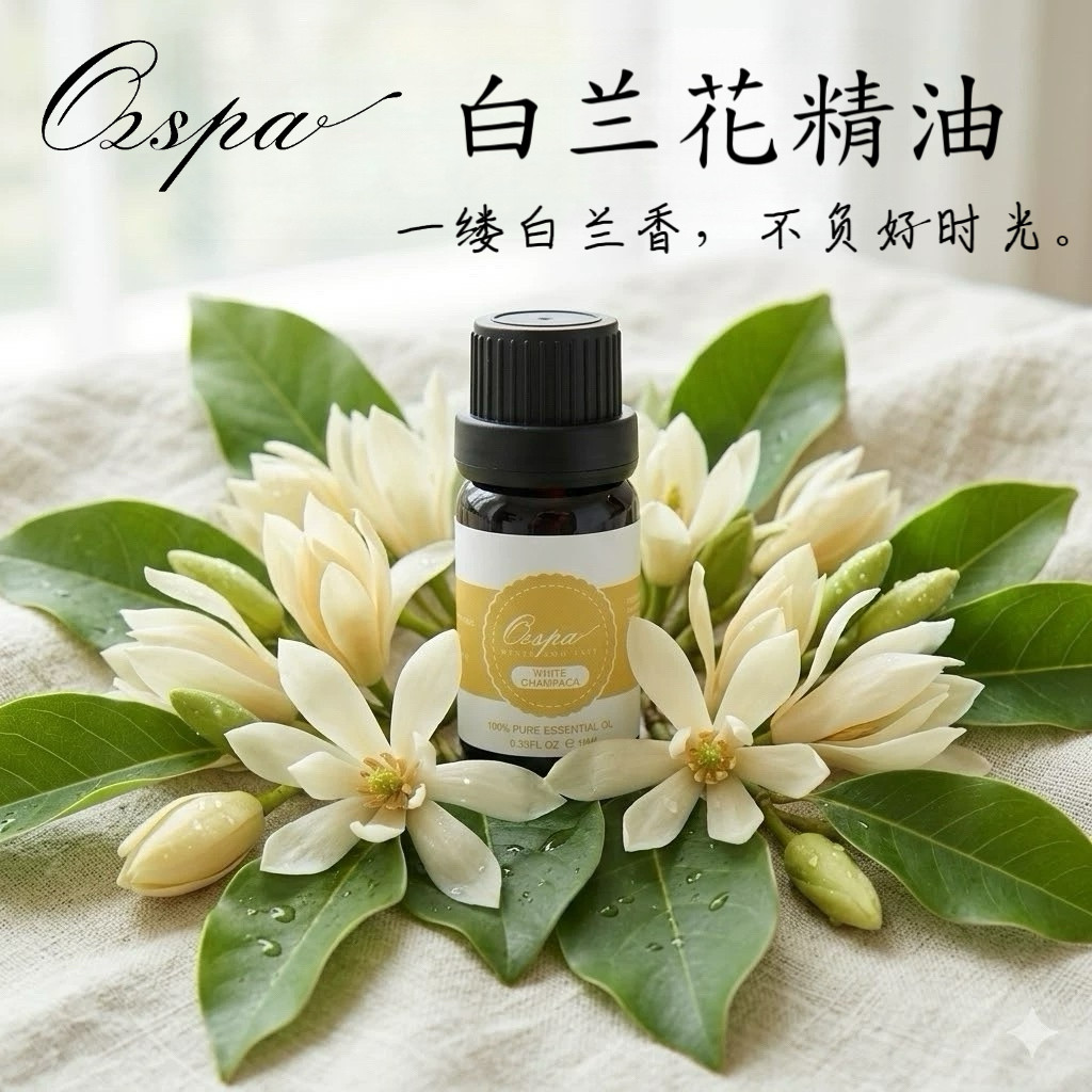 Ozspa白兰花精油单方植物萃取无添加护肤芳疗按摩调香车载香薰香