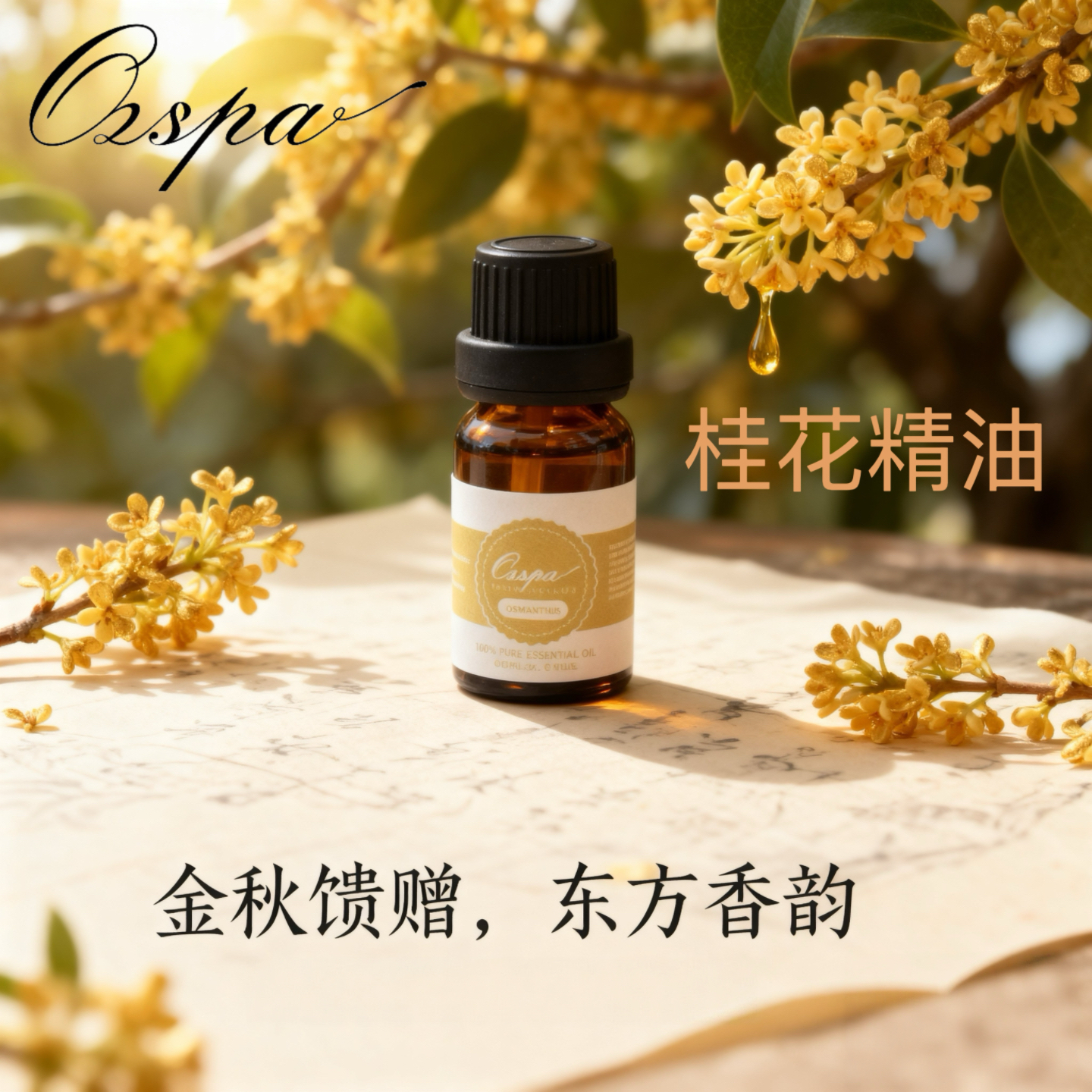 Ozspa桂花精油天然植物萃取