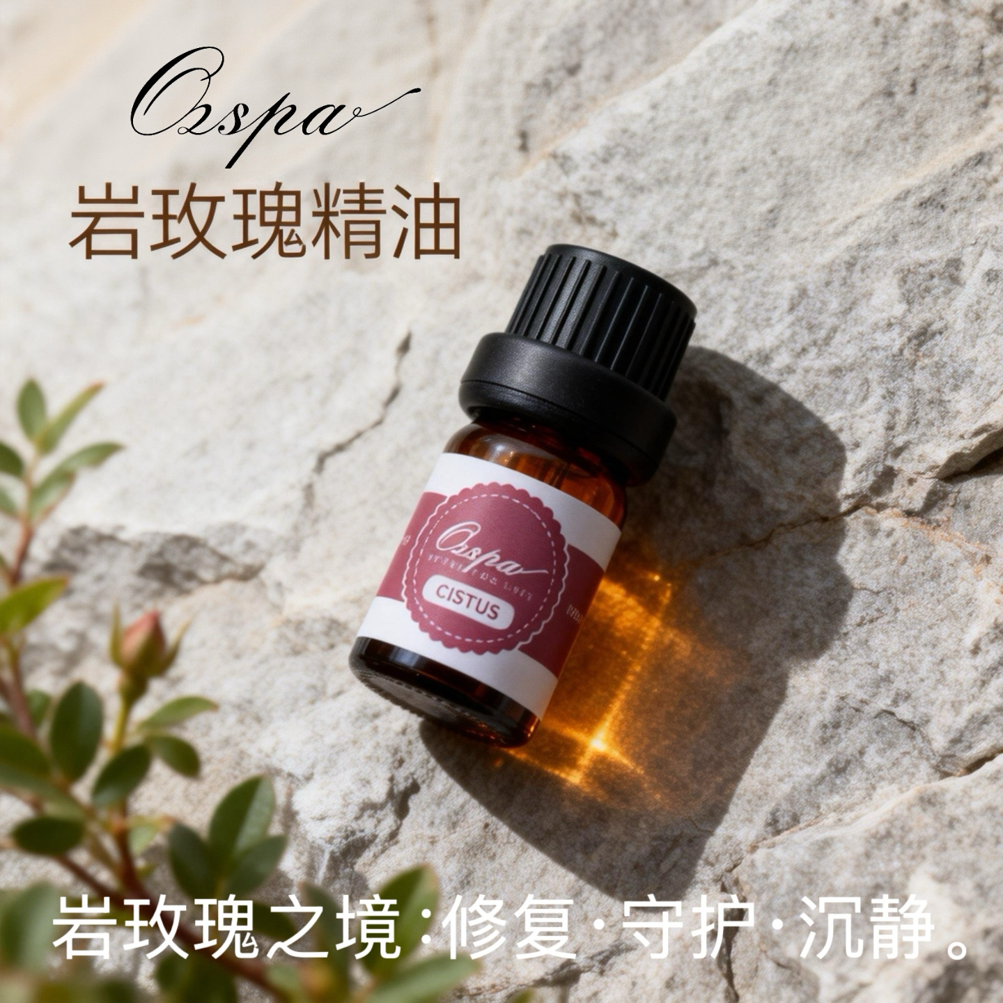 Ozspa墨红玫瑰精油澳洲品牌花朵蒸馏萃取天然无添加芳疗调香芳疗,洗护清洁剂/卫生巾/纸/香薰,香薰精油,淘宝优惠券,粉丝福利购,淘宝优惠卷