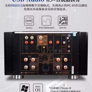 Winner/天逸 AD-2PRO+全平衡纯甲类发烧HIFI大功率DSD解码功放机