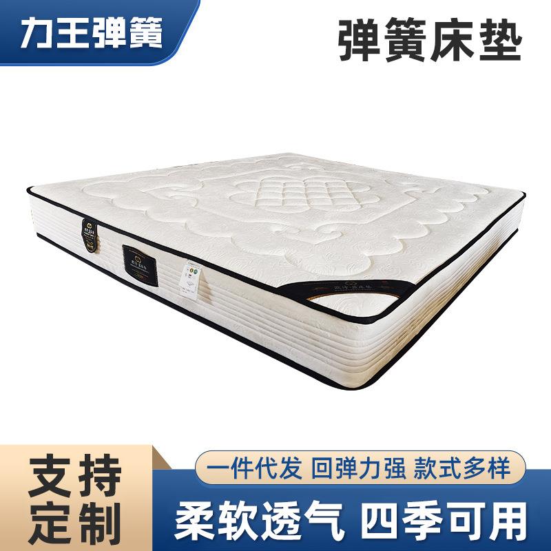 天津棕垫床垫零售家用床垫软硬两用1.5m1.8m床椰棕垫软垫