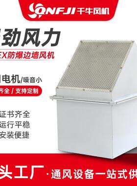 BWEX-防爆边墙风机 边墙通风机壁式防防雨排气扇方形防爆风机