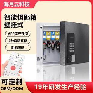 智能钥匙管理盒壁挂式房产中介钥匙柜管理柜密码锁匙收纳盒箱挂墙