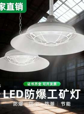led防爆灯工矿灯防水防尘防腐三防化工厂仓库加油站地雷隔爆灯