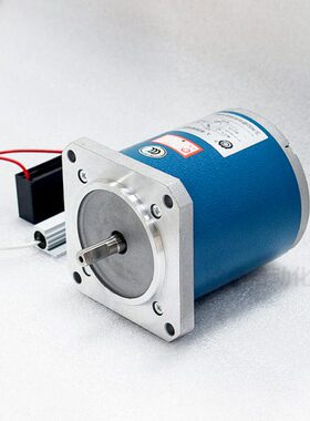 55TDY115-3-36/L38-36T宝玛数控穿孔机用苏州银通机电机