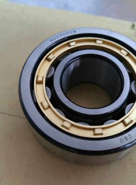 天骄轴承  NJ226EM  TJU