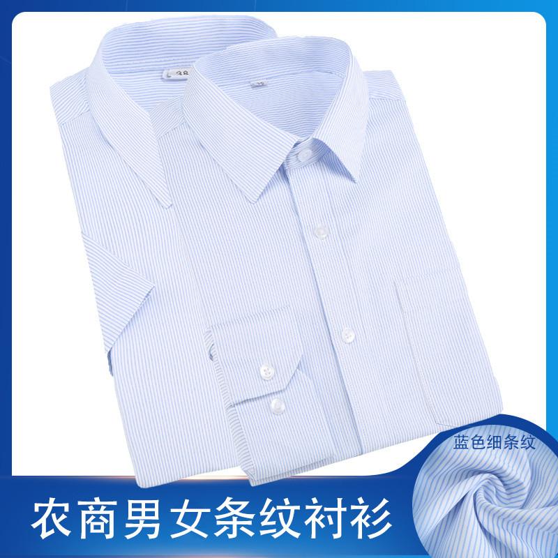男女白底蓝条纹衬衣职业